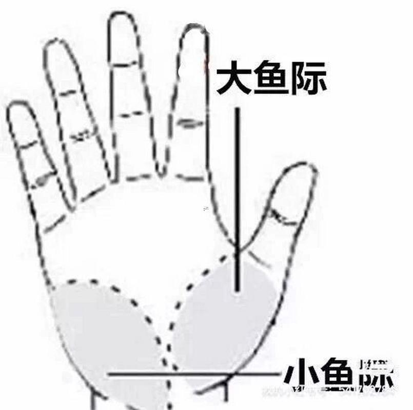 大魚(yú)際有斗手相