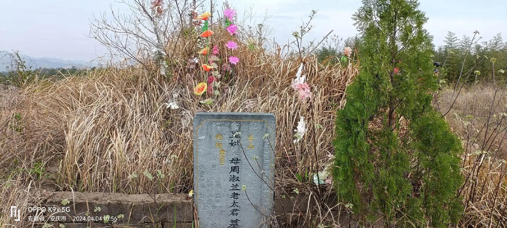 夢見家里被盜