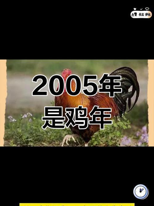 2005是啥東西年