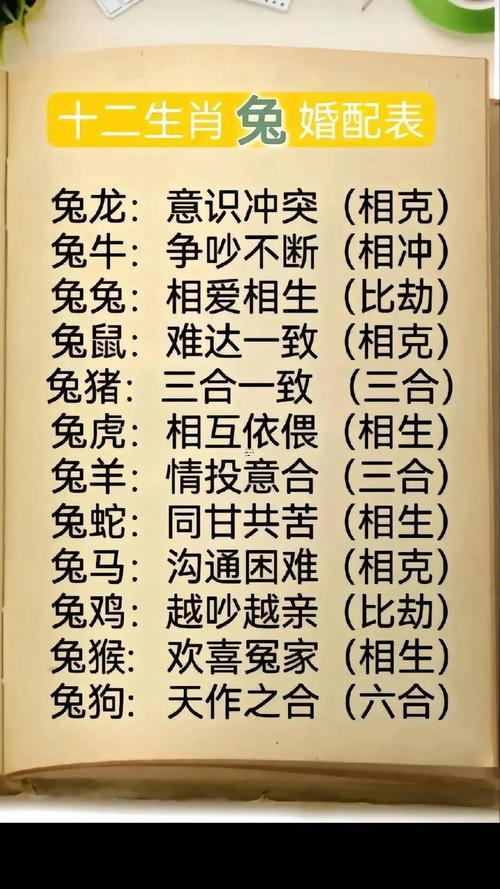兔合龍相配婚姻怎么辦