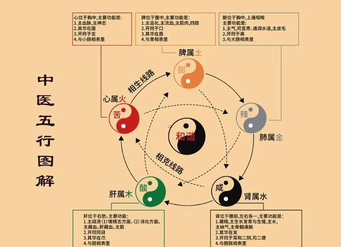 晨五行屬何事