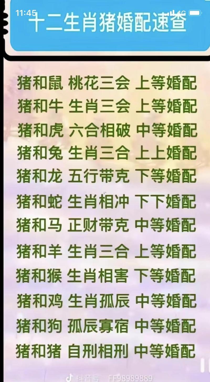 男豬女龍