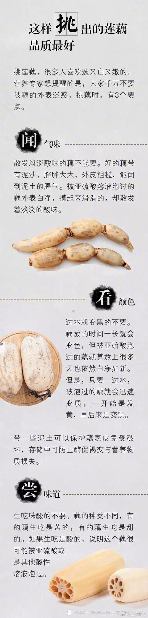 藕得寓意