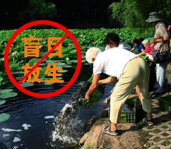2025年10月適合放生哪天