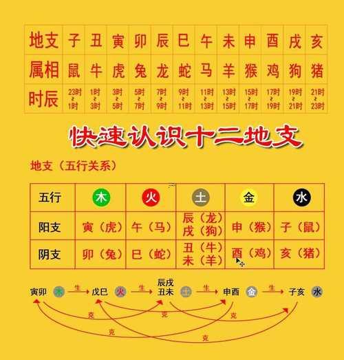 十二地支相合