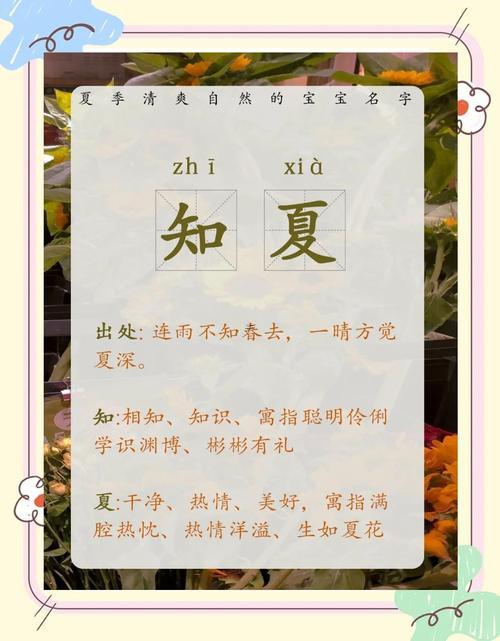 夏氏取名大全