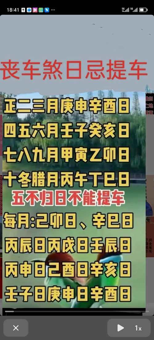 2025年11月買車吉日