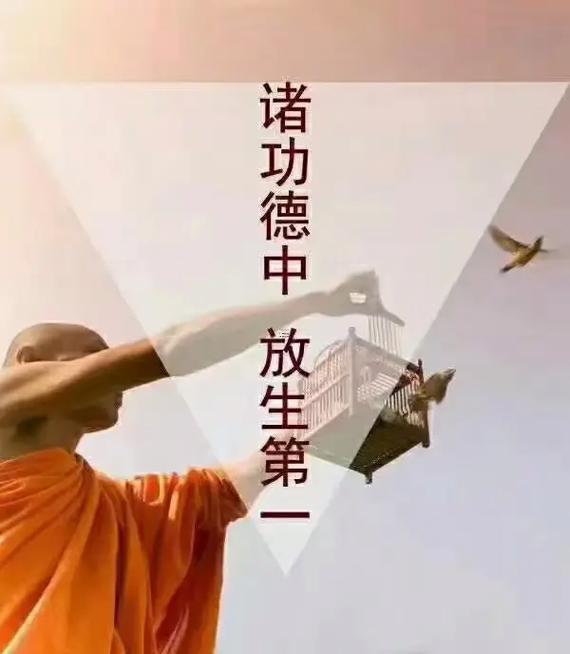 2025年11月最佳放生日查詢