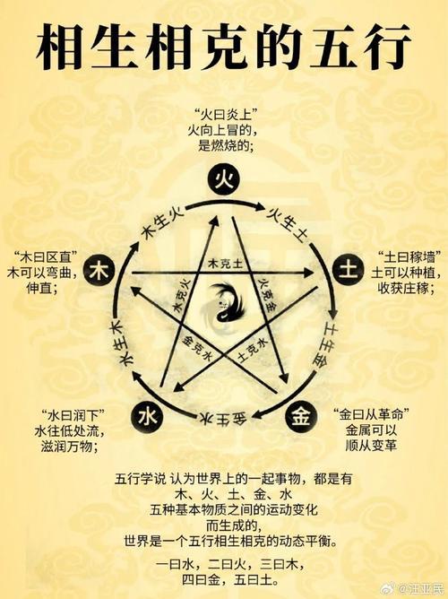地支陰陽屬性