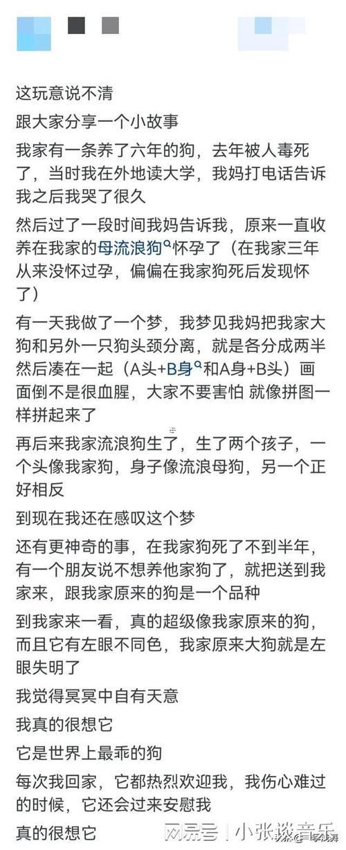 夢見別人給自己錢