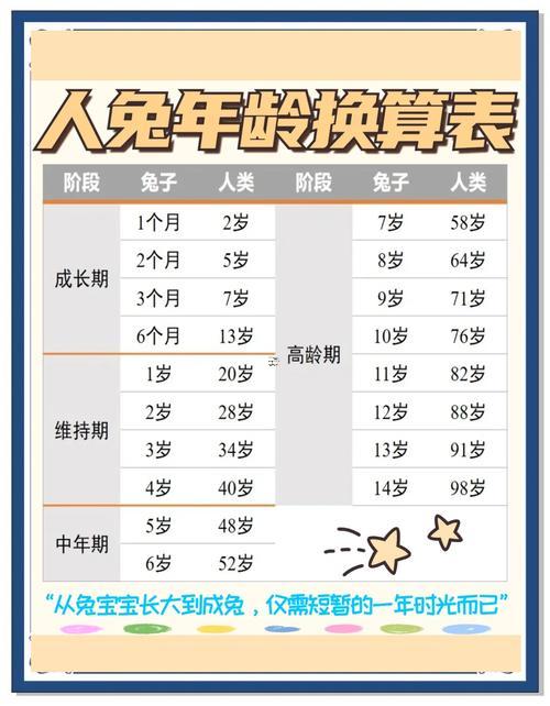 兔寶寶出生月份了解