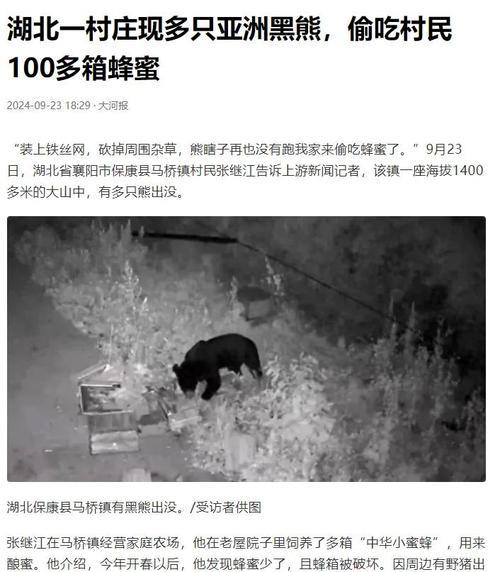 夢見黑熊