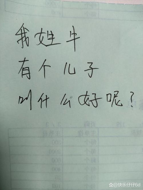 牛姓2個(gè)字男寶寶起名