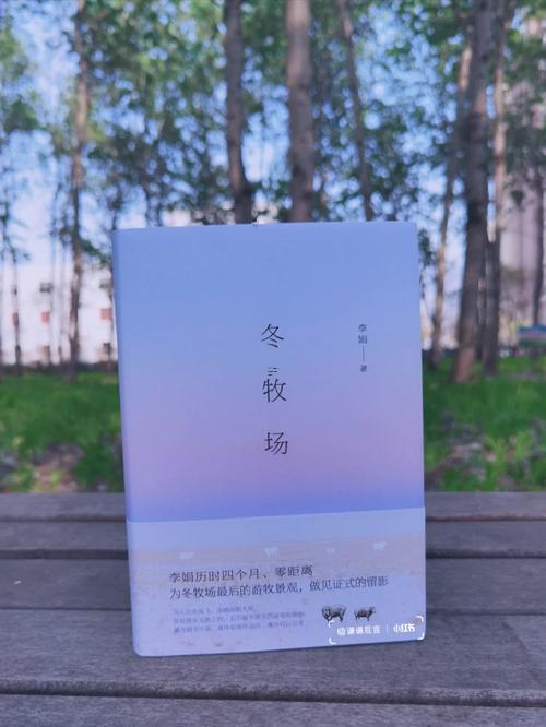 夢見很多書