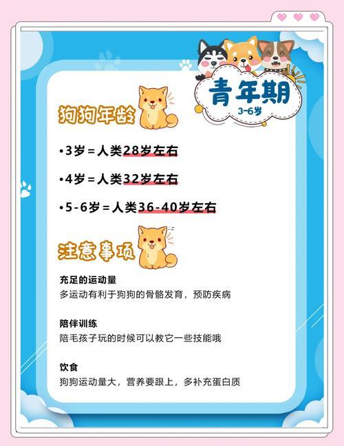 狗年齡對(duì)照表