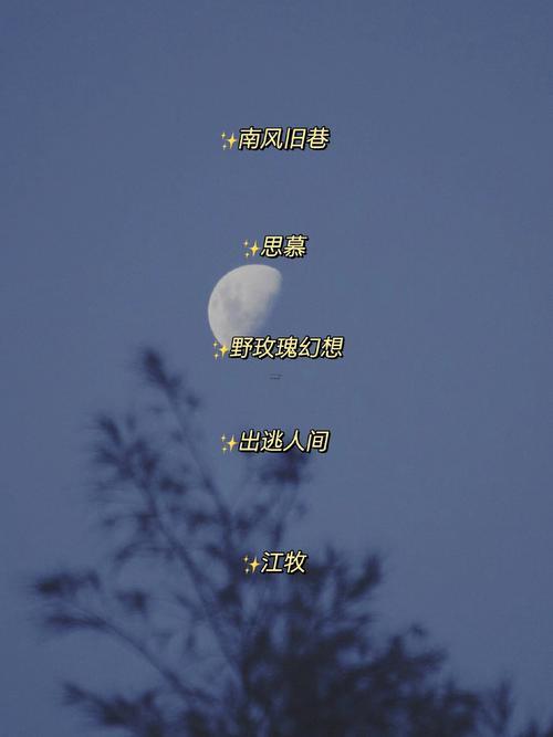 高冷網(wǎng)名