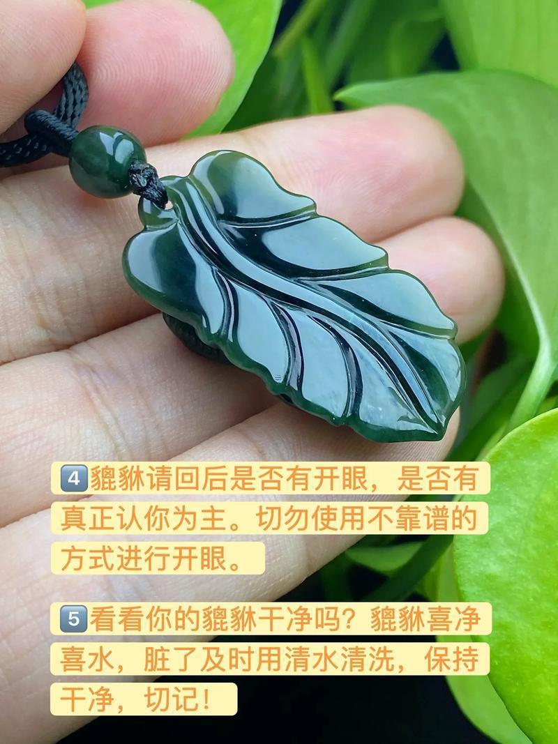 屬馬得人能佩戴貔貅嗎