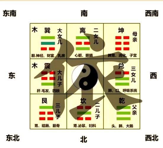 依五行屬啥東西