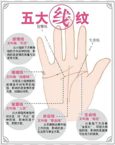 手相看那只手