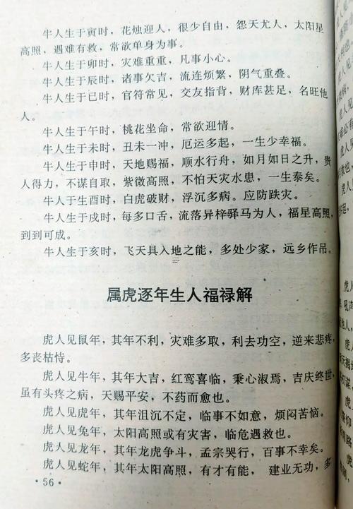 98年屬虎生辰八字是什么東西呀