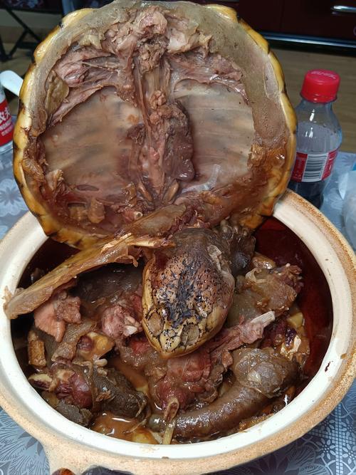夢(mèng)見許多癩蛤蟆