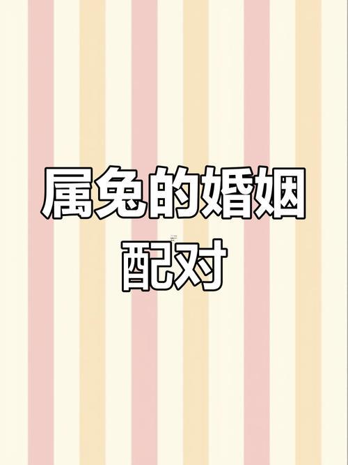 屬兔人的最佳婚配屬相