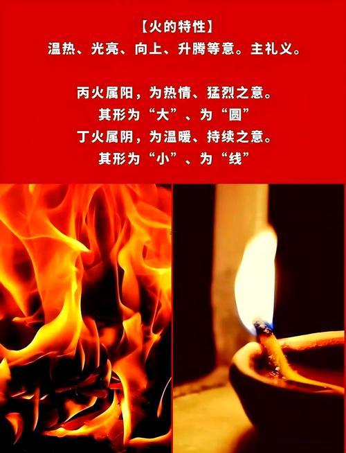 高五行屬啥