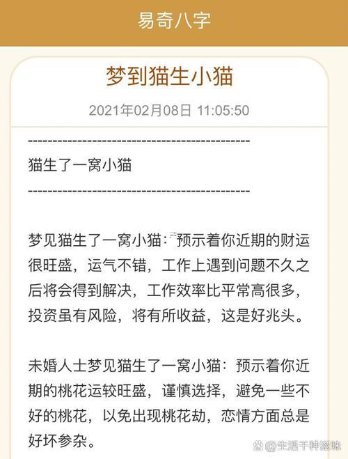 夢(mèng)見小貓