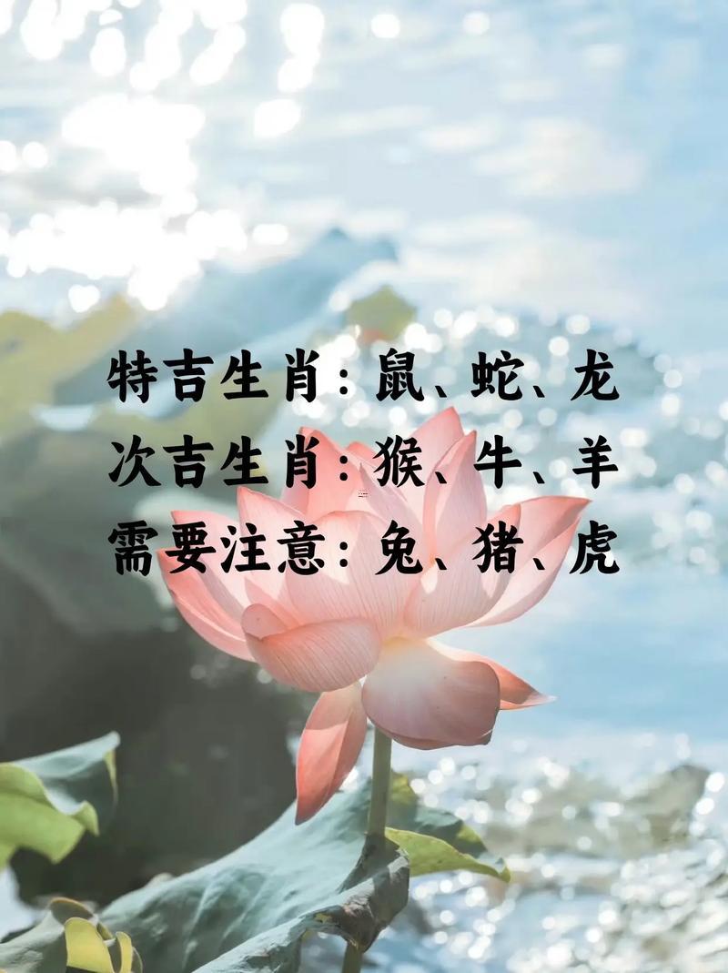 2025年12月考運最佳的日子