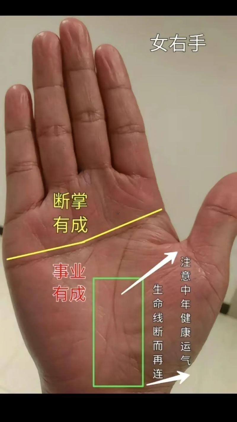 手相圖解大全女