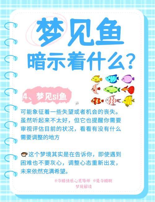 男人夢到抓了好多魚是何事意思