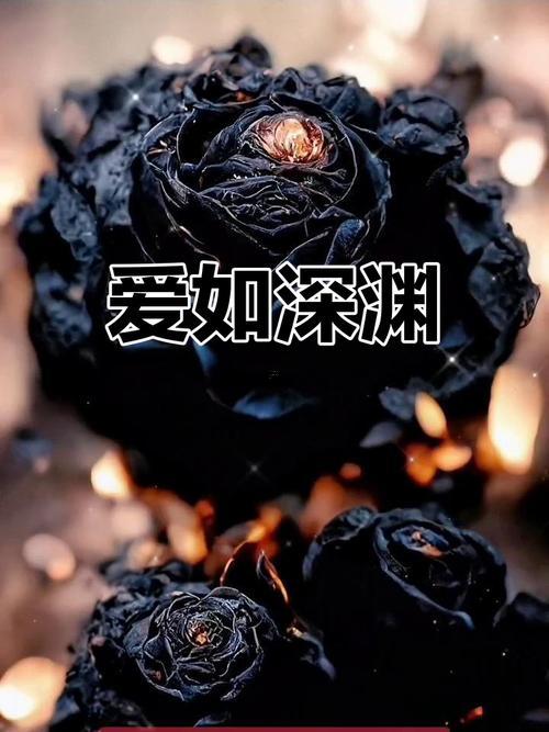 黑色象征著何事東西