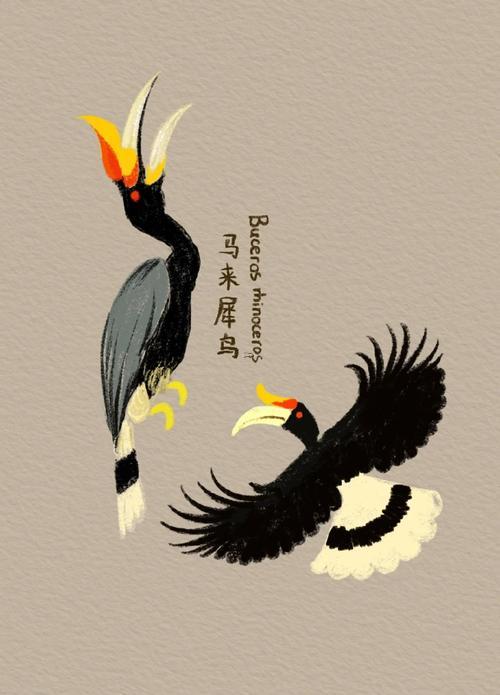 鳥類是啥動物