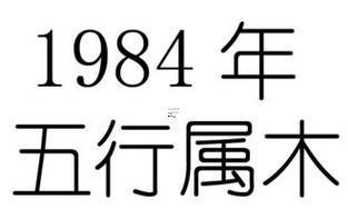 1984年是啥命