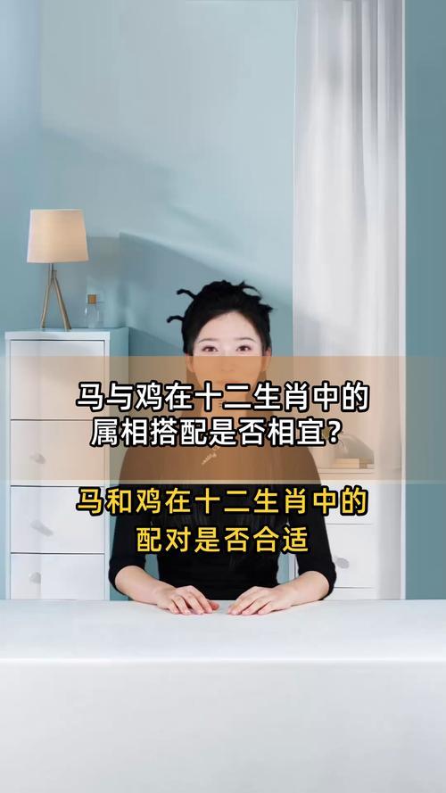馬合雞屬相合不合