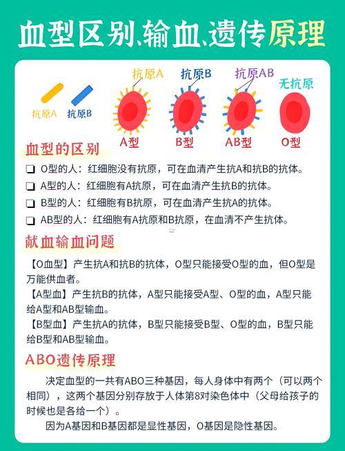 血型與性格