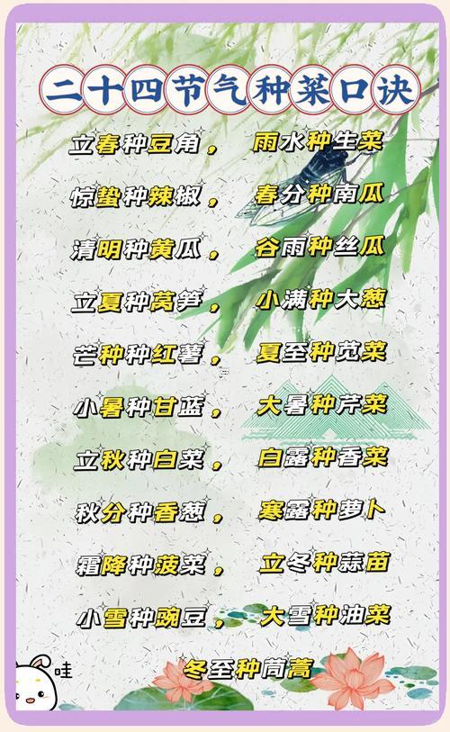 2025年12月哪天適合種的