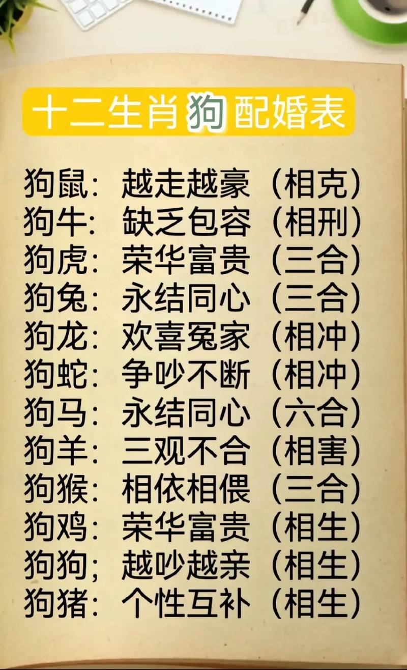狗跟著雞屬相合不合