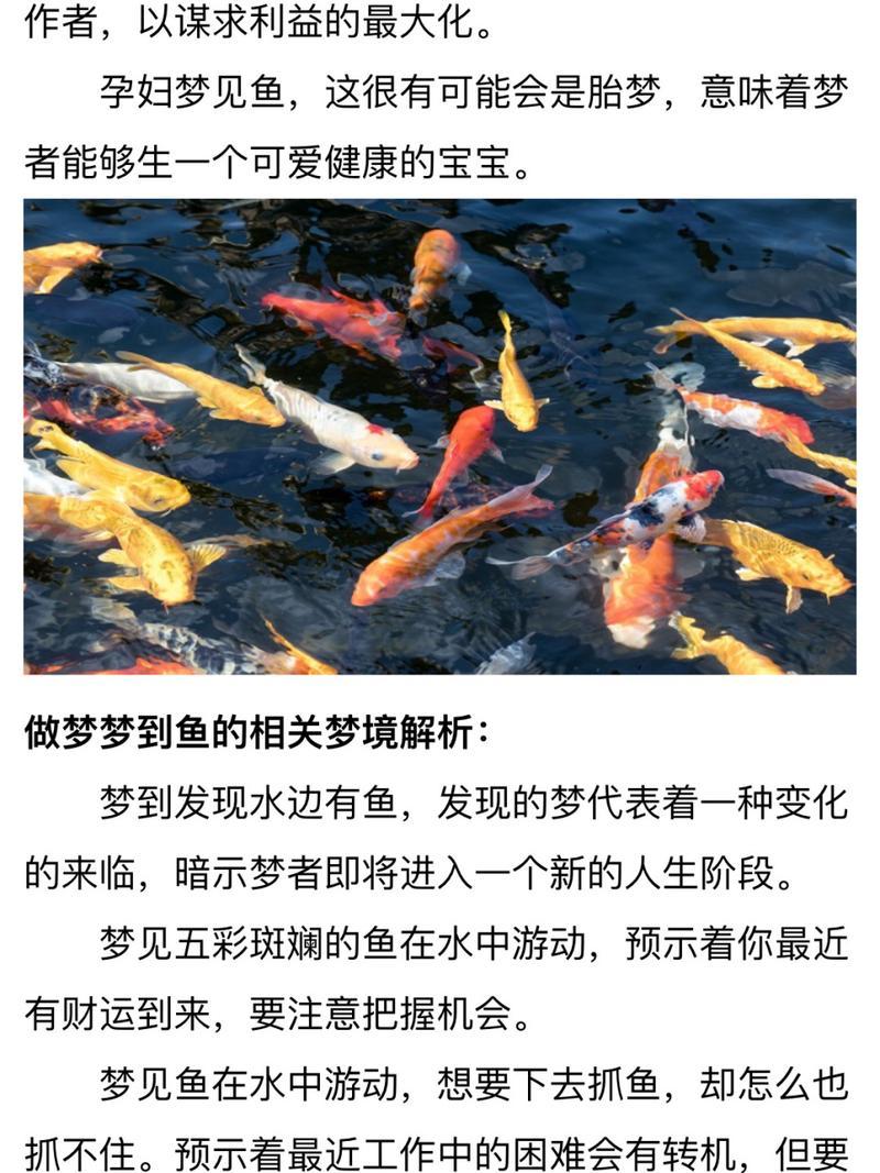 夢(mèng)見(jiàn)站在高處