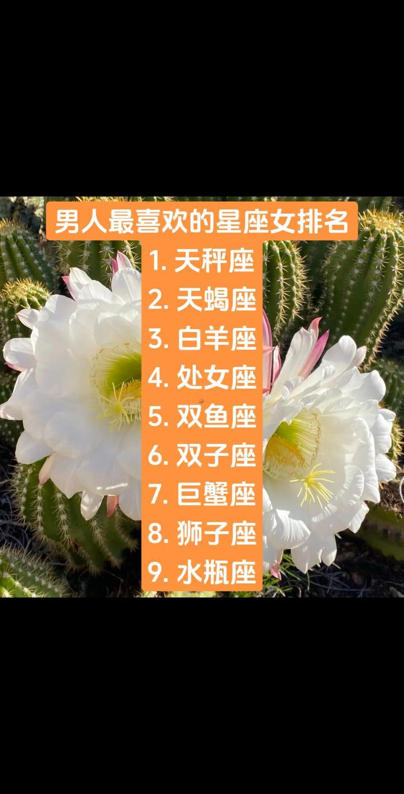 5月28日是啥東西星座