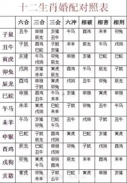 予酌相沖來(lái)今期是什么生肖