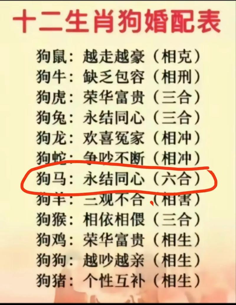 狗同啥生肖最配