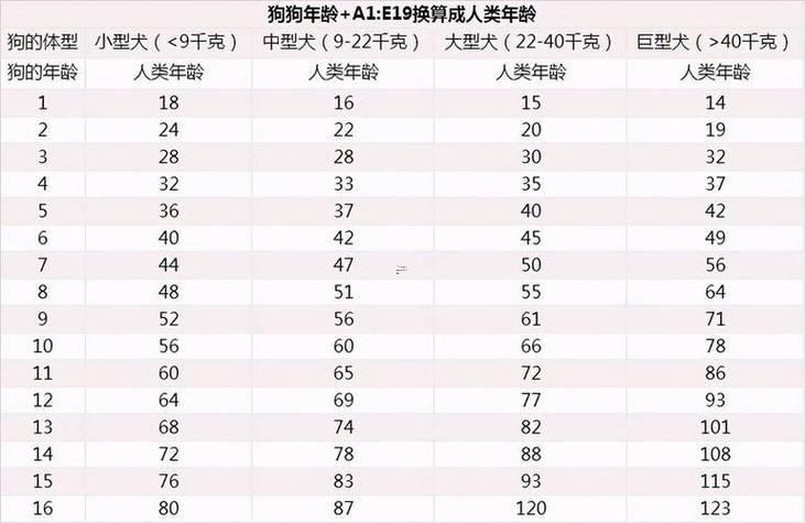 屬狗的多少歲