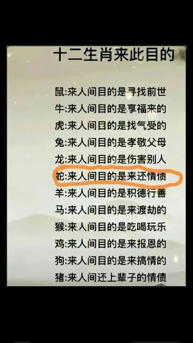 前世的情債怎么樣算還完