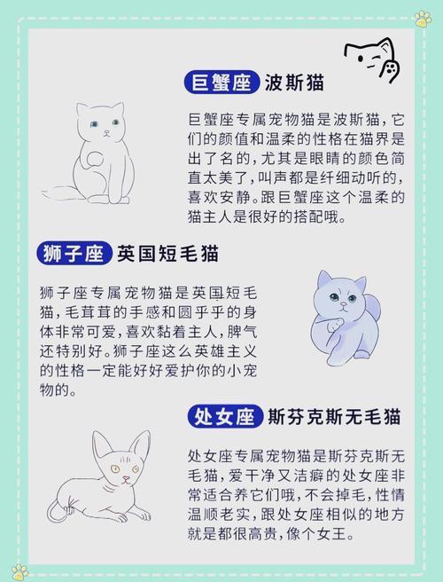 十二星座得小秘密