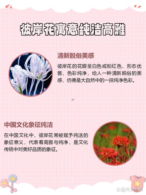 好聽的彼岸花古風名字