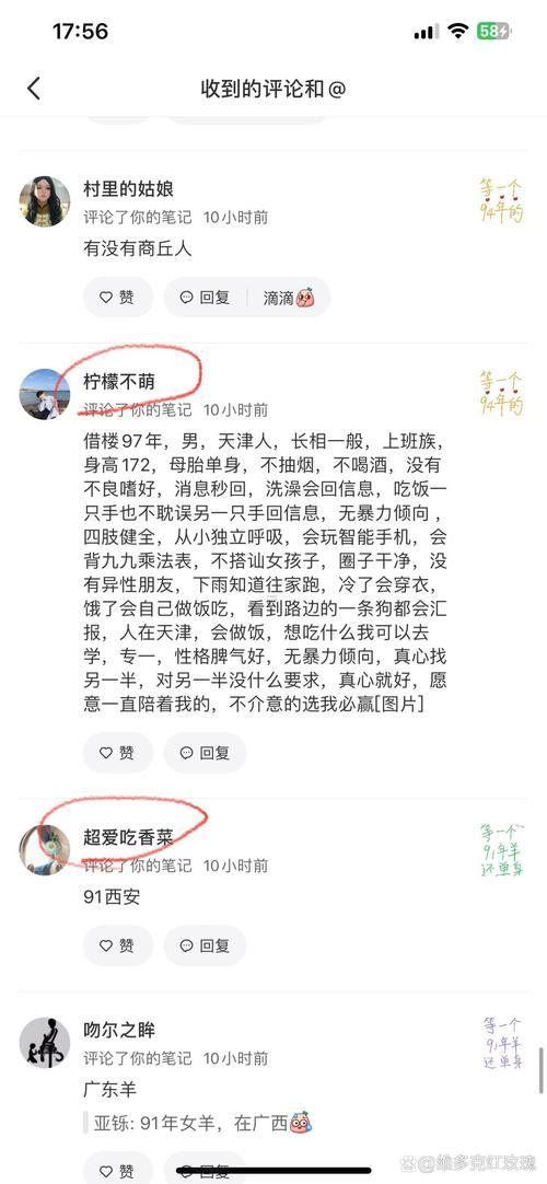 2019年屬什么東西