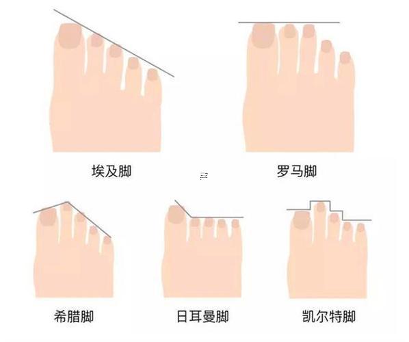二腳趾比大腳趾長(zhǎng)代表何事