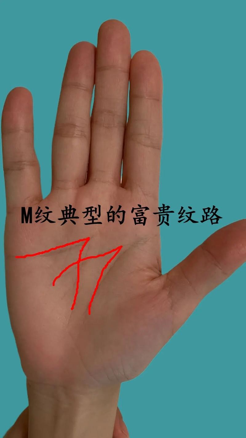男人手相圖解大全