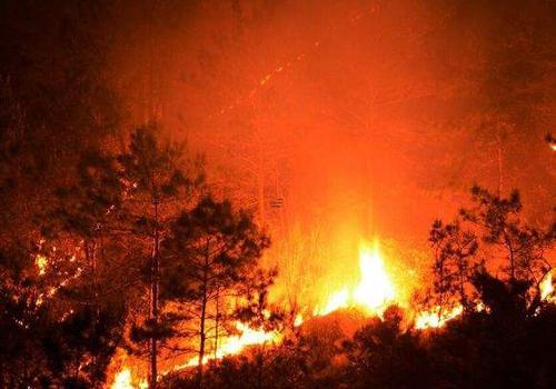 夢見山上著火了